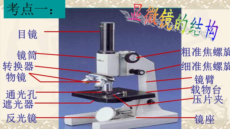 细胞是生命活动的基本单位.ppt_第3页