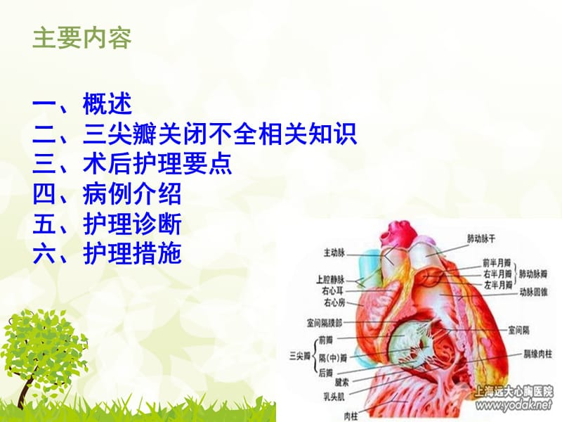 胸腔镜三尖瓣置换术后护理查房.ppt_第2页