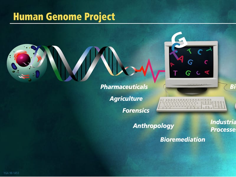 基因芯片的操作流程及步骤.ppt_第1页