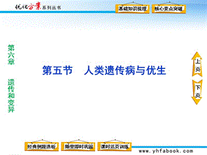 《人類遺傳病與優(yōu)生》PPT課件.ppt