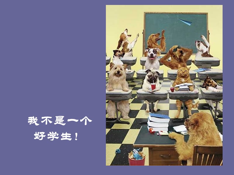 研究生学习生活经验交流.ppt_第2页