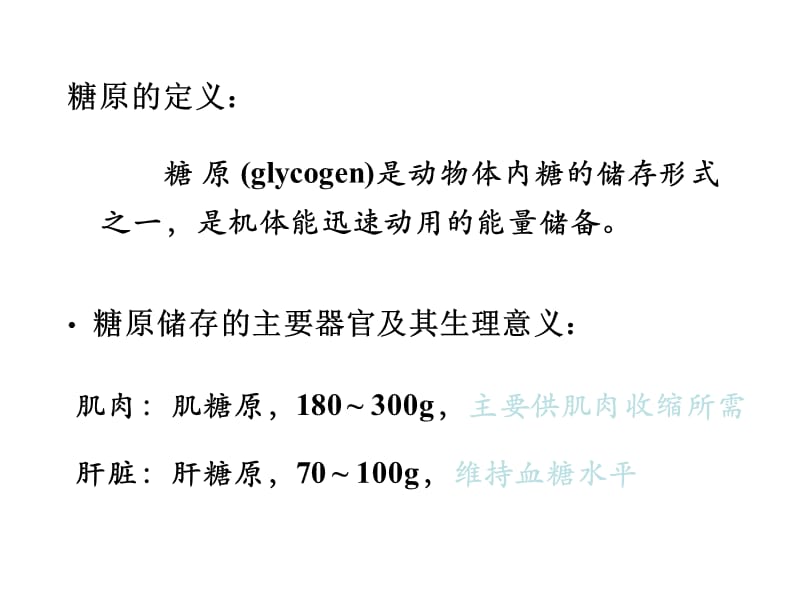 糖原的分解合成代谢.ppt_第2页