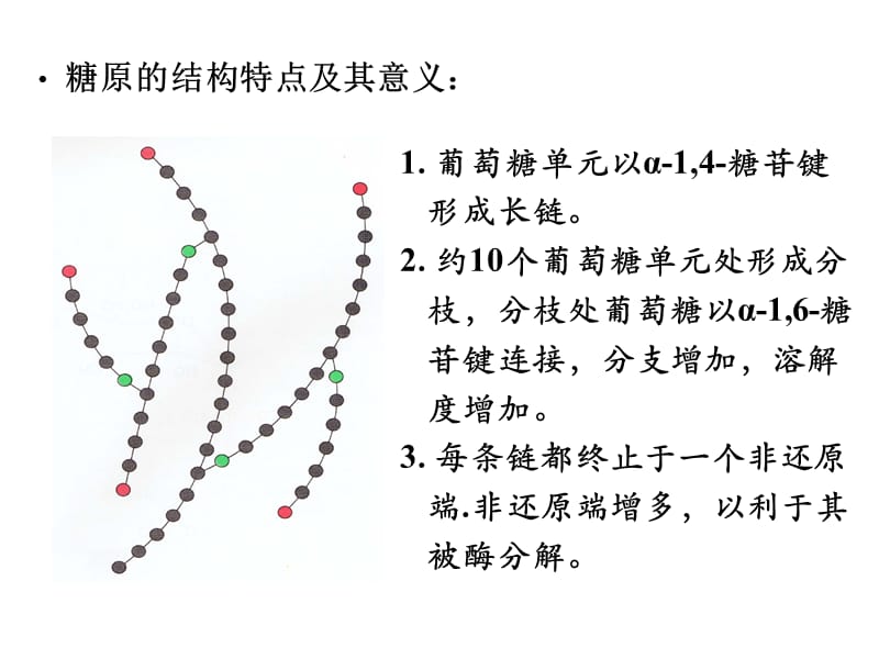 糖原的分解合成代谢.ppt_第3页