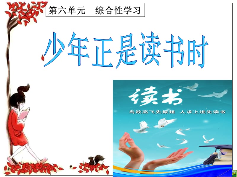 综合性学习：少年正是读书时.ppt_第1页