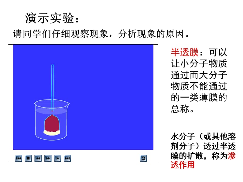 物质跨膜运输实例(公开课).ppt_第3页