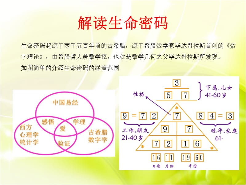 生命密码-打造高绩效团队.ppt_第2页