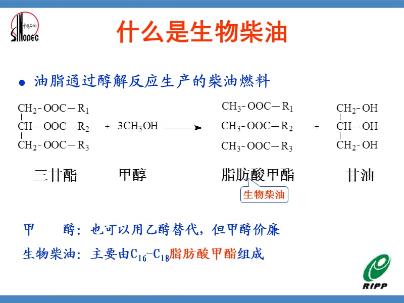 生物柴油生产工艺.ppt_第3页