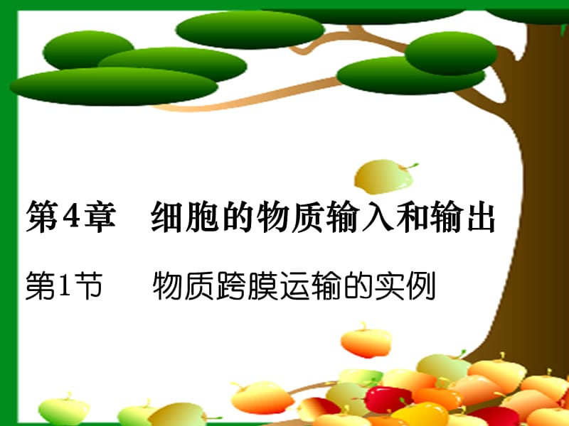 物质跨膜运输的实例(公开课).ppt_第1页