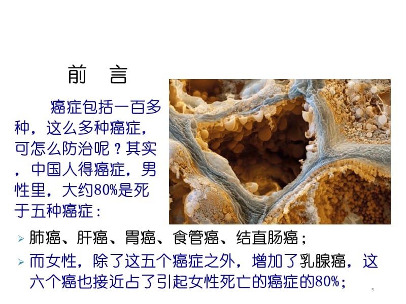 预防80%的癌症ppt课件_第3页