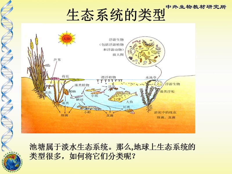 生物圈中的各种生态系统.ppt_第3页