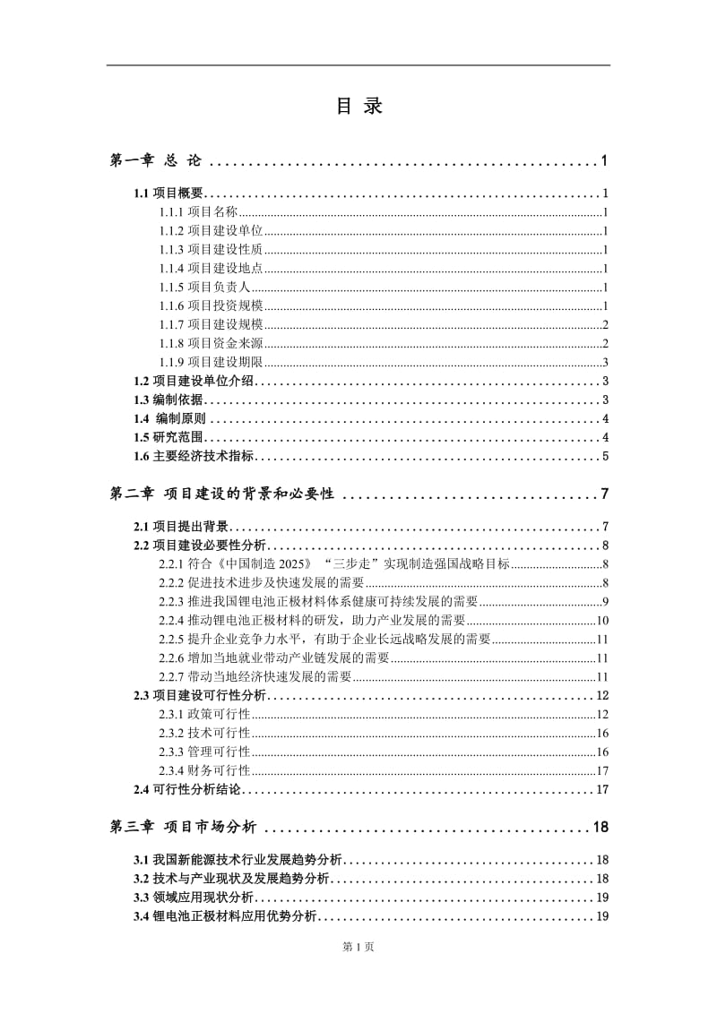 锂电池正极材料新建项目可行性研究报告-可修改备案申请_第2页