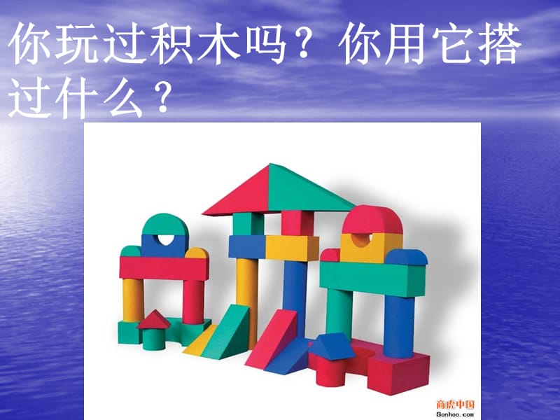 《搭建生命体的积木》PPT课件.ppt_第1页