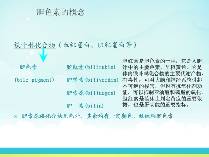 胆色素的代谢与黄疸.ppt_第2页