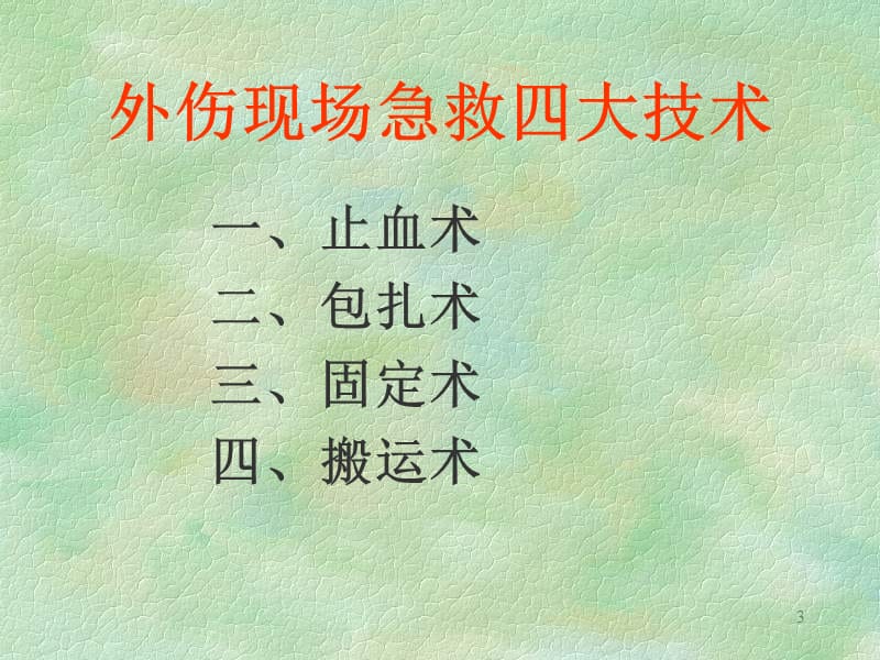 现场外伤急救四大技术.ppt_第3页