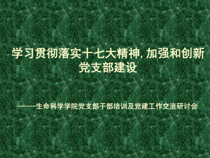 《基層黨組織建設(shè)》PPT課件.ppt