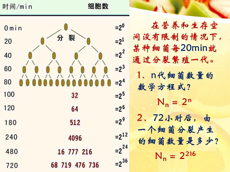 种群数量的变化ppt.ppt_第2页