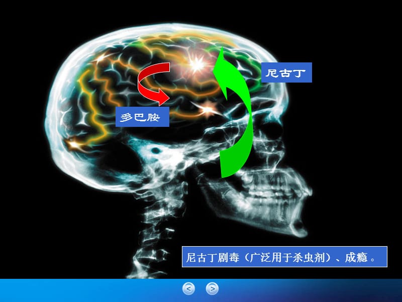 简短戒烟干预培训.ppt_第2页