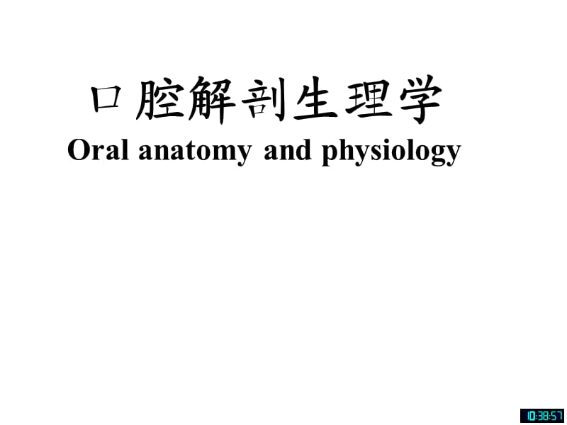 王美青口腔解剖学-颌面部骨.ppt_第2页