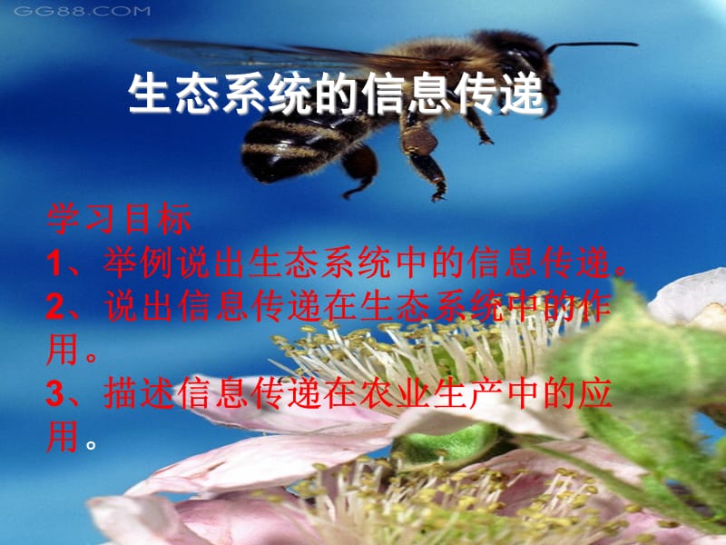 生态系统的信息传递.ppt_第1页