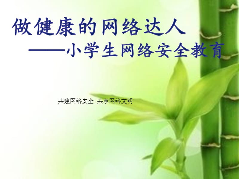 网络安全教育PPT课件.ppt_第1页