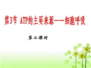 細(xì)胞呼吸 一輪復(fù)習(xí).ppt