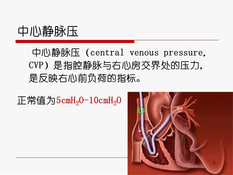 中心静脉压监测ppt课件_第3页