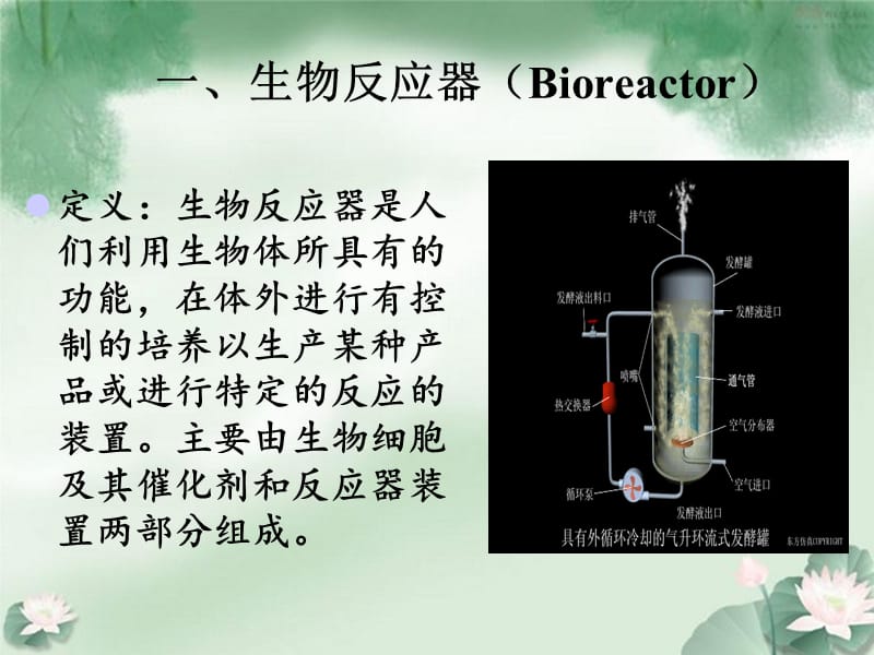 生物反应器的分类与发展.ppt_第3页