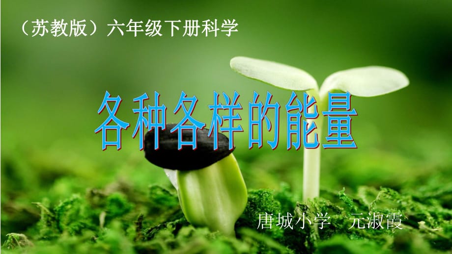 《各種各樣的能量》PPT課件.pptx_第1頁(yè)