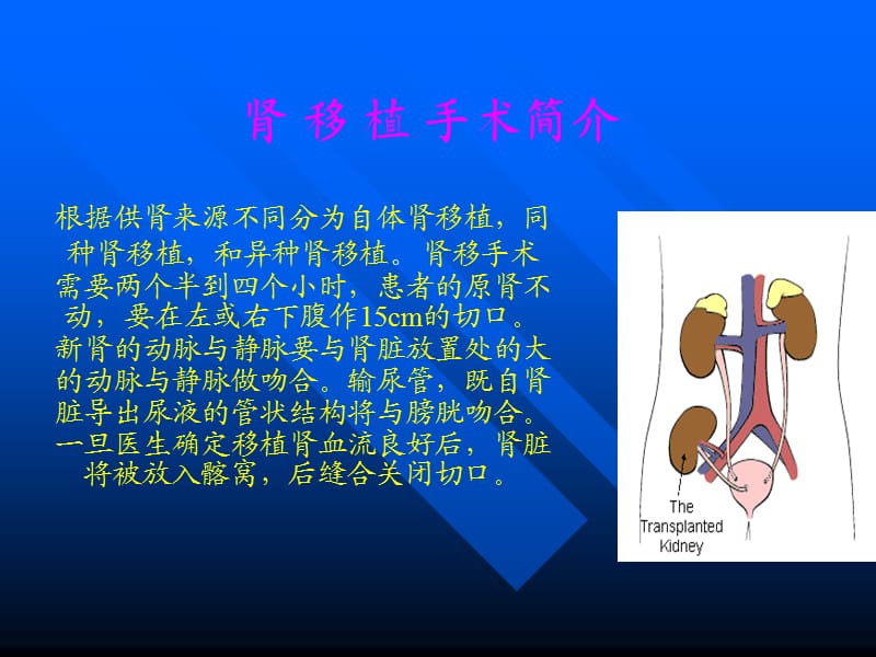 肾移植术后的护理.ppt_第2页