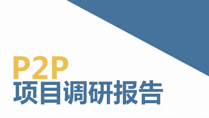 《PP项目调研报告》PPT课件.ppt_第1页