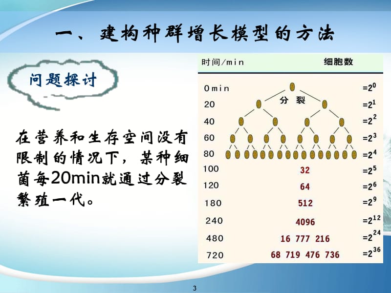 种群数量的变化(省优质课比赛).ppt_第3页