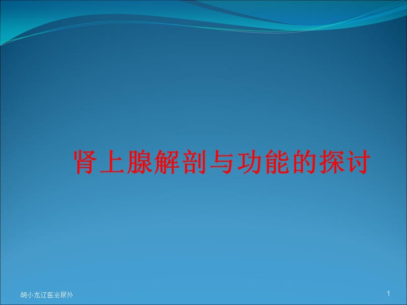 肾上腺的解剖与功能.ppt_第1页