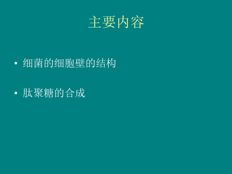 细菌细胞壁的结构和肽聚糖的合成.ppt_第2页