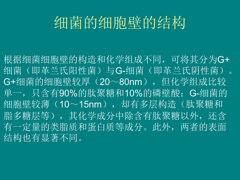 细菌细胞壁的结构和肽聚糖的合成.ppt_第3页