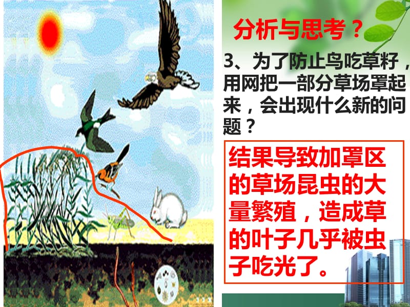 生物与环境组成生态系统.ppt_第3页