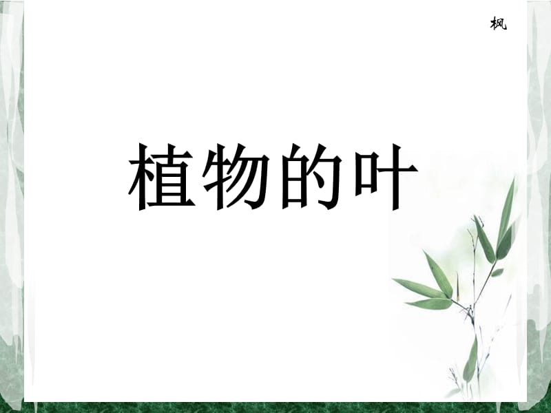 《植物的葉》教學(xué)課件.ppt_第1頁