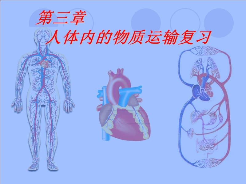 《人體內(nèi)的物質(zhì)運輸》復(fù)習(xí)課件.ppt_第1頁