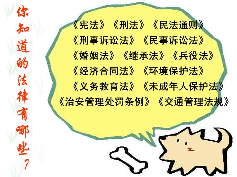 法律在我身边主题班会.ppt_第3页