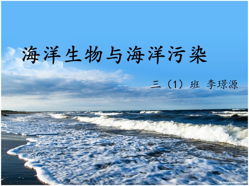 海洋生物与海洋污染.ppt_第1页