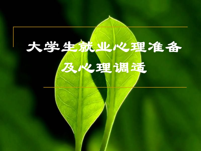 大學生就業(yè)心理準備及心理調適.ppt_第1頁