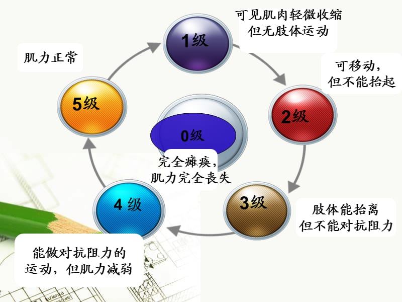 肌力分级及康复锻炼.ppt_第3页