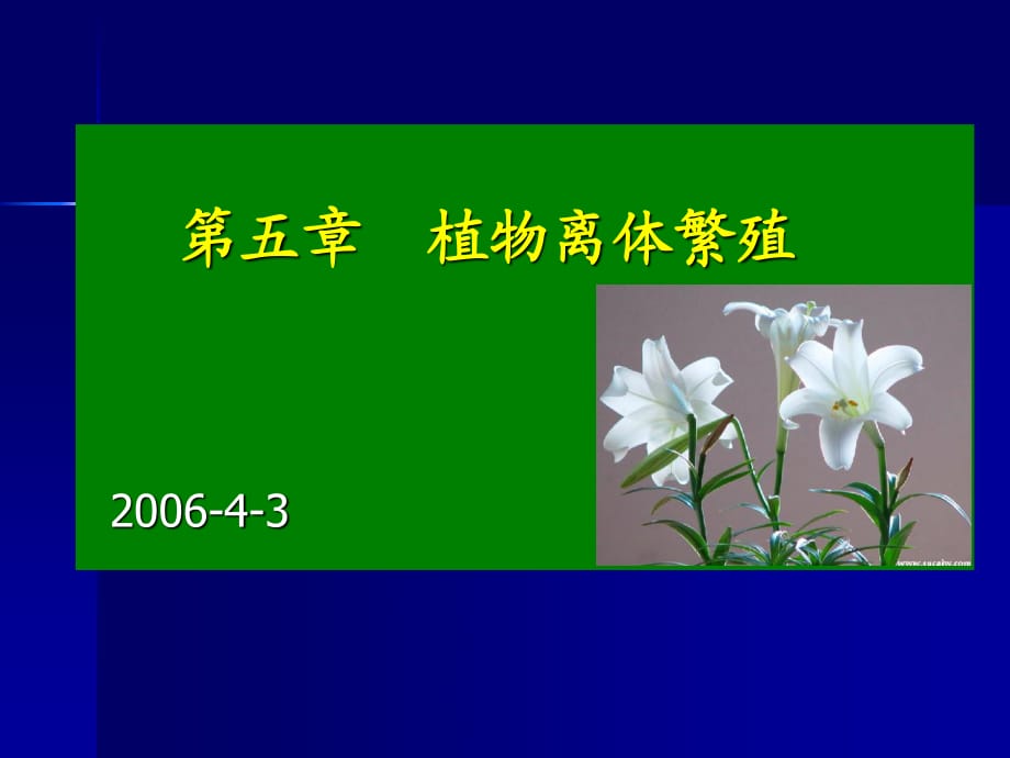 《植物离体繁殖》PPT课件.ppt_第1页