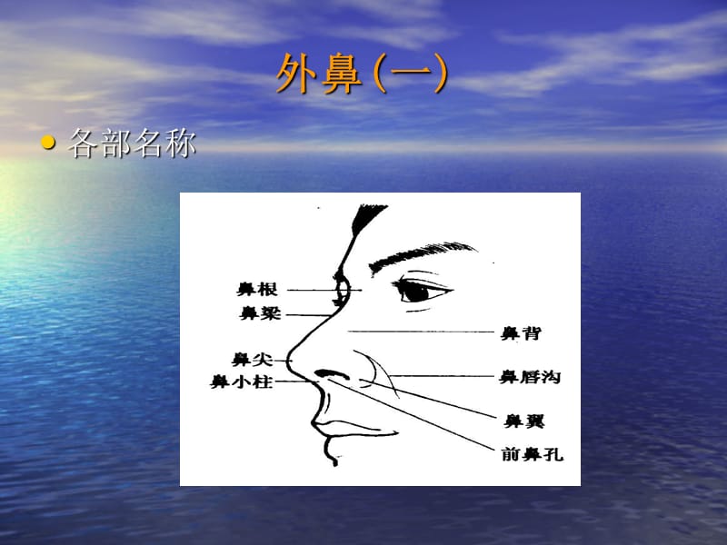 耳鼻咽喉的应用解剖与生理(何).ppt_第3页