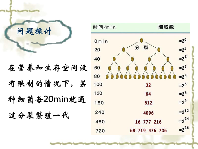 种群数量的变化-ppt.ppt_第3页