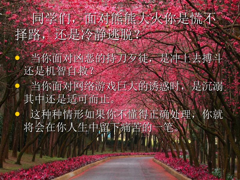 珍爱生命保护自我.ppt_第3页