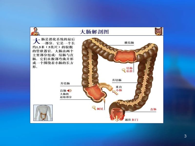 直肠癌的护理ppt课件_第3页