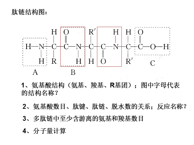 高中生物复习(学考).ppt_第1页