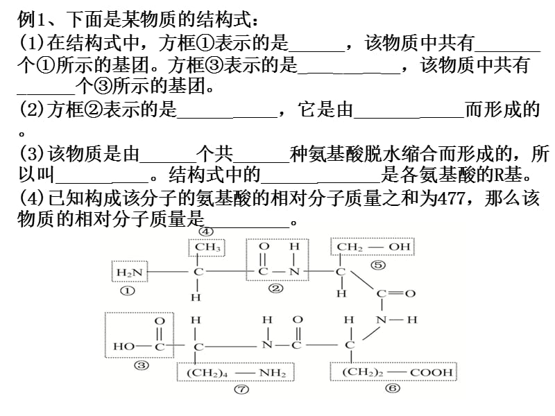 高中生物复习(学考).ppt_第2页