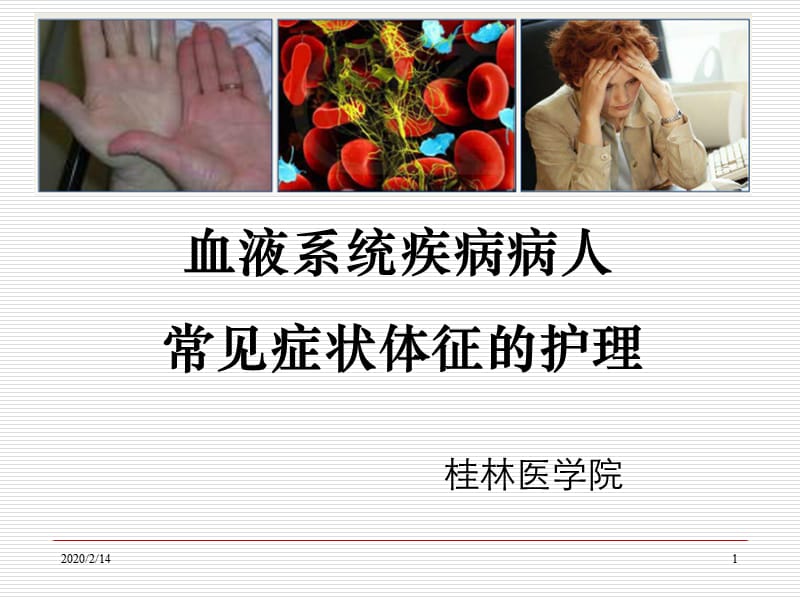 血液科疾病常见症状护理.ppt_第1页