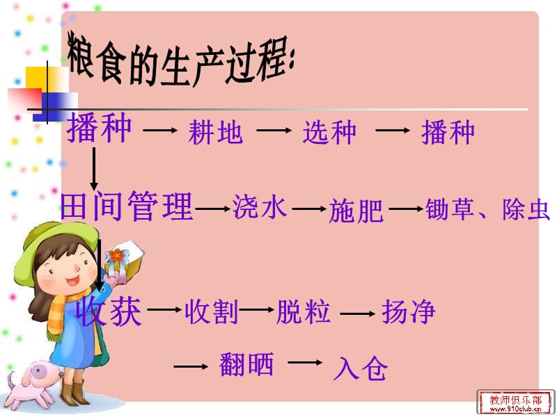 节约粮食、文明就餐主题班会.ppt_第3页